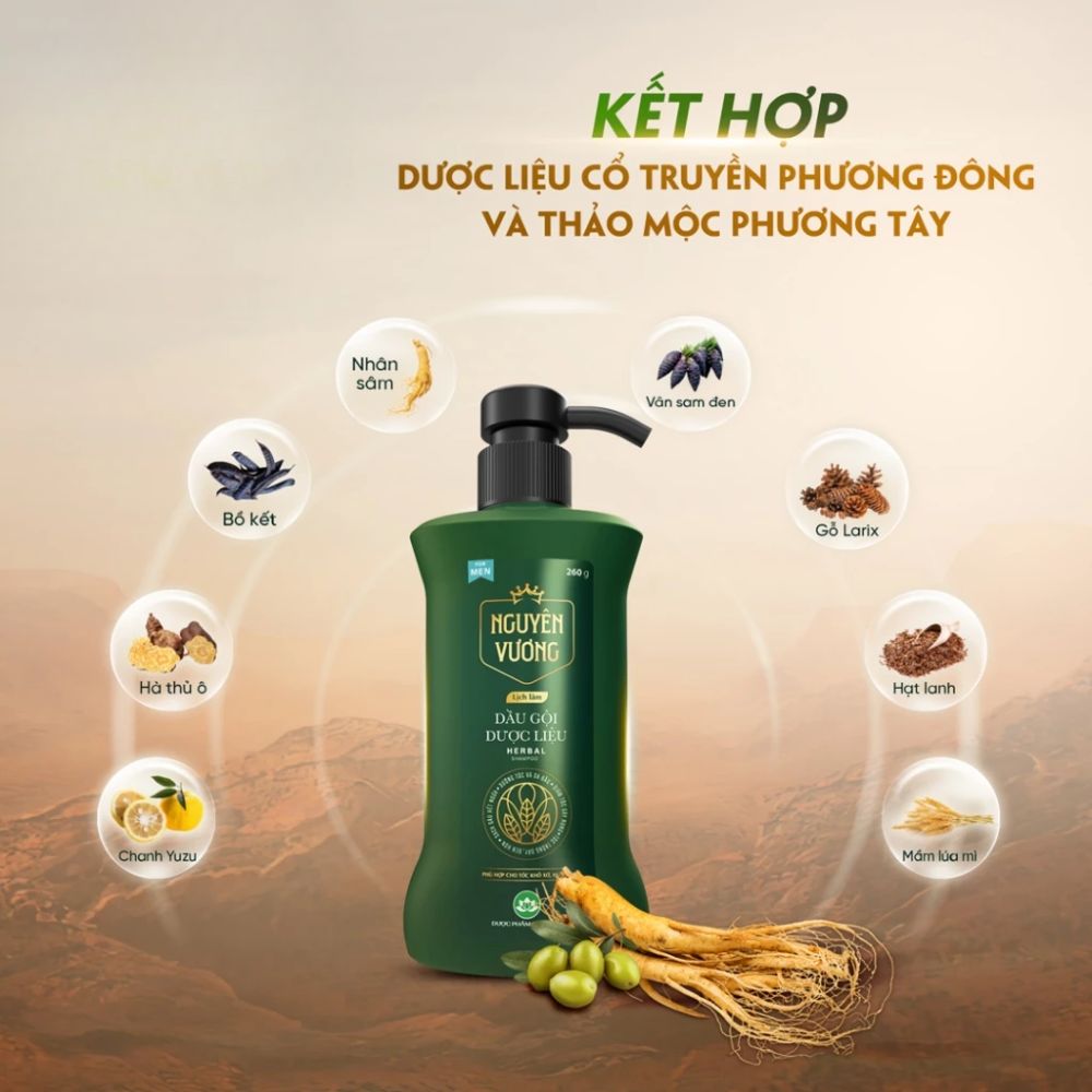 Dầu gội Dược liêu Nguyên Vương Nam giới Hương lịch lãm (chai 260ml) - Minpharmacy 3 Dầu gội Dược liêu Nguyên Vương Nam giới Hương lịch lãm (chai 260ml) - Minpharmacy - Ảnh 3