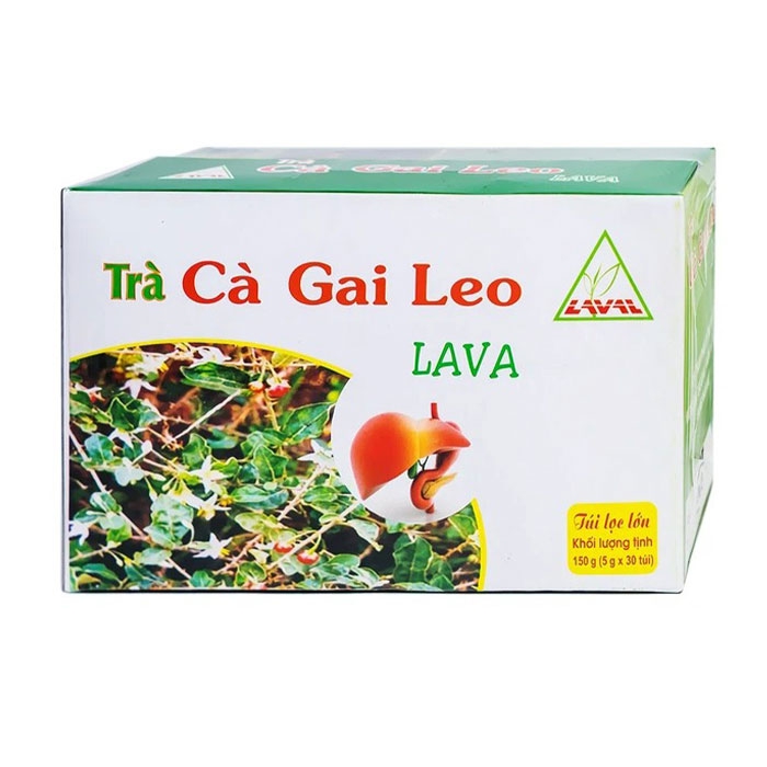 Trà CÀ GAI LEO LAVA - Hộp 30 túi 1 Trà CÀ GAI LEO LAVA - Hộp 30 túi
