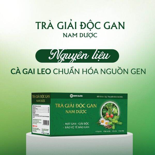 Trà giải độc gan Nam Dược - Mát gan, bảo vệ tế bào gan (hộp 20 túi) - Minpharmacy 2 Trà giải độc gan Nam Dược - Mát gan, bảo vệ tế bào gan (hộp 20 túi) - Minpharmacy - Ảnh 2