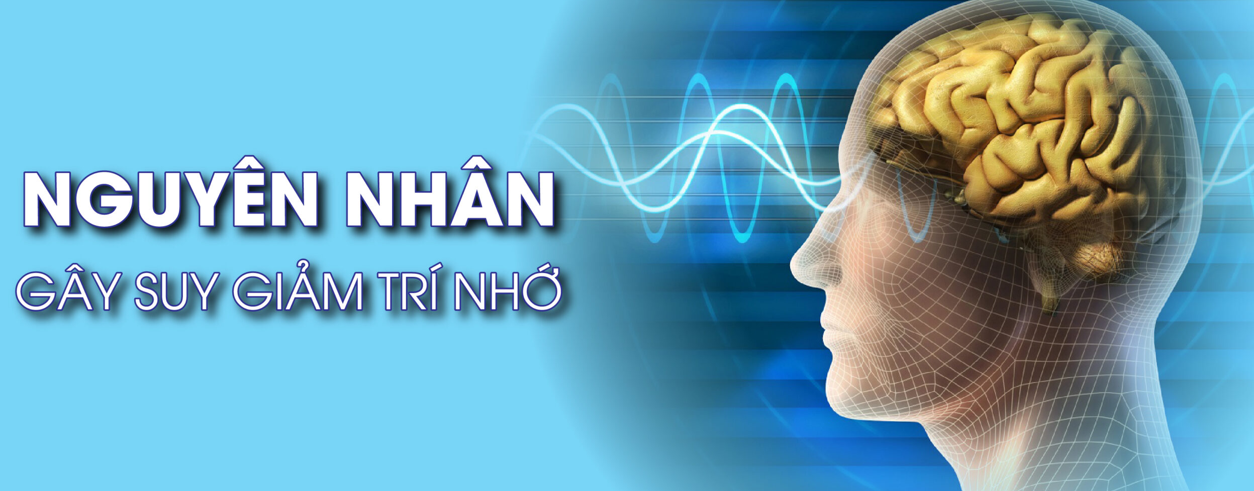 Dấu Hiệu Suy Giảm Trí Nhớ Cần Chú Ý: Đừng Chủ Quan Với Những Thay Đổi Nhỏ 4 edit suy giam tri nho 1 17343354372701874564604