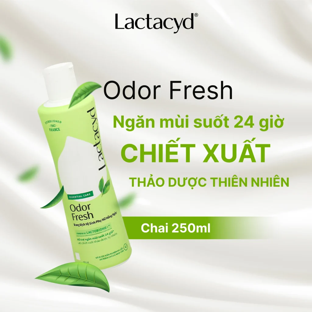 DDVS Lactacyd Odor Fresh 250ml Khử Mùi Vùng Kín Phụ Nữ Sanofi 4 DDVS Lactacyd Odor Fresh 250ml Khử Mùi Vùng Kín Phụ Nữ Sanofi - Ảnh 4