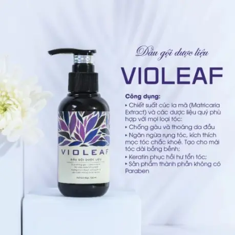 Dầu gội Dược liệu Violeaf Thái Dương (Chai 480ml) 2 Dầu gội Dược liệu Violeaf Thái Dương (Chai 480ml) - Ảnh 2