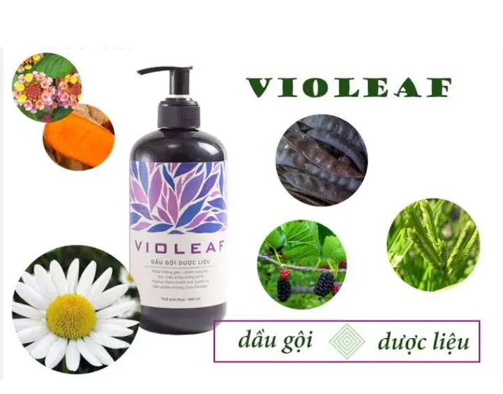 Dầu gội Dược liệu Violeaf Thái Dương (Chai 480ml) 3 Dầu gội Dược liệu Violeaf Thái Dương (Chai 480ml) - Ảnh 3