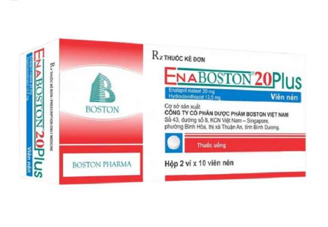 ENABOSTON 20 PLUS - Boston (3 vỉ x 10 viên) 2 ENABOSTON 20 PLUS - Boston (3 vỉ x 10 viên) - Ảnh 2