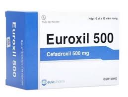Euroxil 500 (Hộp 10 vỉ x 12 viên) 1 Euroxil 500 (Hộp 10 vỉ x 12 viên)