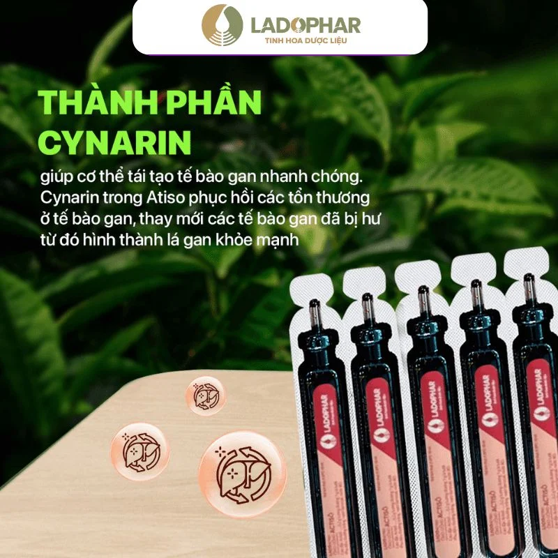 Ống uống Actiso Ladophar Giúp mát gan - lợi mật (Hộp 10 ống) 2 Ống uống Actiso Ladophar Giúp mát gan - lợi mật (Hộp 10 ống) - Ảnh 2
