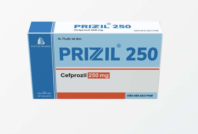 PRIZIL 250 - Boston (2 vỉ x 10 viên) 2 PRIZIL 250 - Boston (2 vỉ x 10 viên) - Ảnh 2