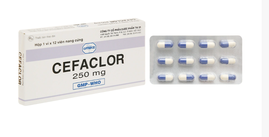 Thuốc CEFACLOR 250mg TW25 (1 vỉ x 12 viên) 1 Thuốc CEFACLOR 250mg TW25 (1 vỉ x 12 viên)
