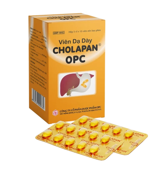 Viên mật nghệ Cholapan OPC điều trị các chứng gan đau, mật kém, đau dạ dày (5 vỉ x 10 viên) 1 Viên mật nghệ Cholapan OPC điều trị các chứng gan đau, mật kém, đau dạ dày (5 vỉ x 10 viên)